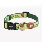 DUKIER COLLAR AVOCADO S