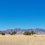 SAVANNA MOUNTAIN VISON