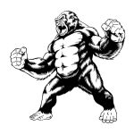 KONG NEGRO L