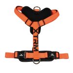 ARNES X-TRM PREM NARANJA AZ S