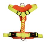 ARNES X-TRM CRONOS LIMON M