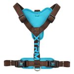 ARNES X-TRM CRONOS MARRON S
