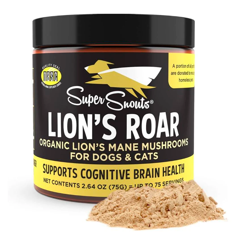 LION´S ROAR