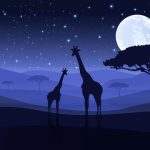 SAVANNA NOCHE AZUL