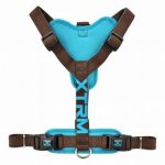 ARNES X-TRM CRONOS MARRON M