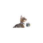SERESTO GATOS