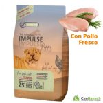 IMPUL DOG PUPPY 12KG