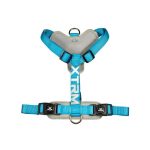 ARNES X-TRM CRONOS AZUL S