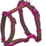 ARNES X-TRM PREM MARRON CARDENAL S
