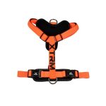 ARNES X-TRM CRONOS NARANJA L
