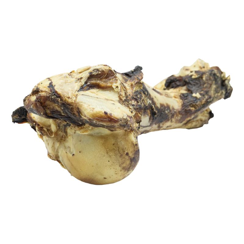 HUESO DE MAMUT