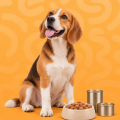 Perros > Alimentación > Comida húmeda
