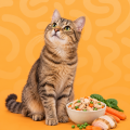 Gatos > Alimentación > Dieta natural cocinada