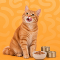 Gatos > Alimentación > Comida húmeda