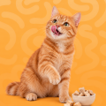 Gatos > Alimentación > Premios saludables