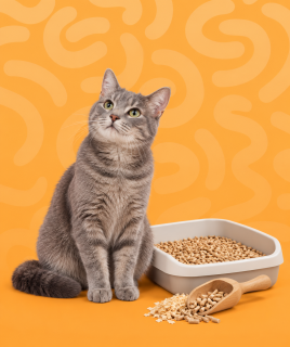 Gatos > Higiene y salud > Arenas naturales