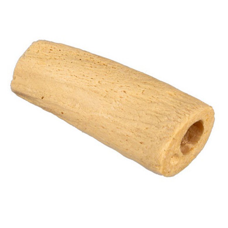 NUCLEO DE CUERNO DE BUFALO
